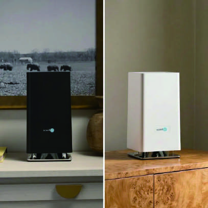 Whisper MAX 設置例